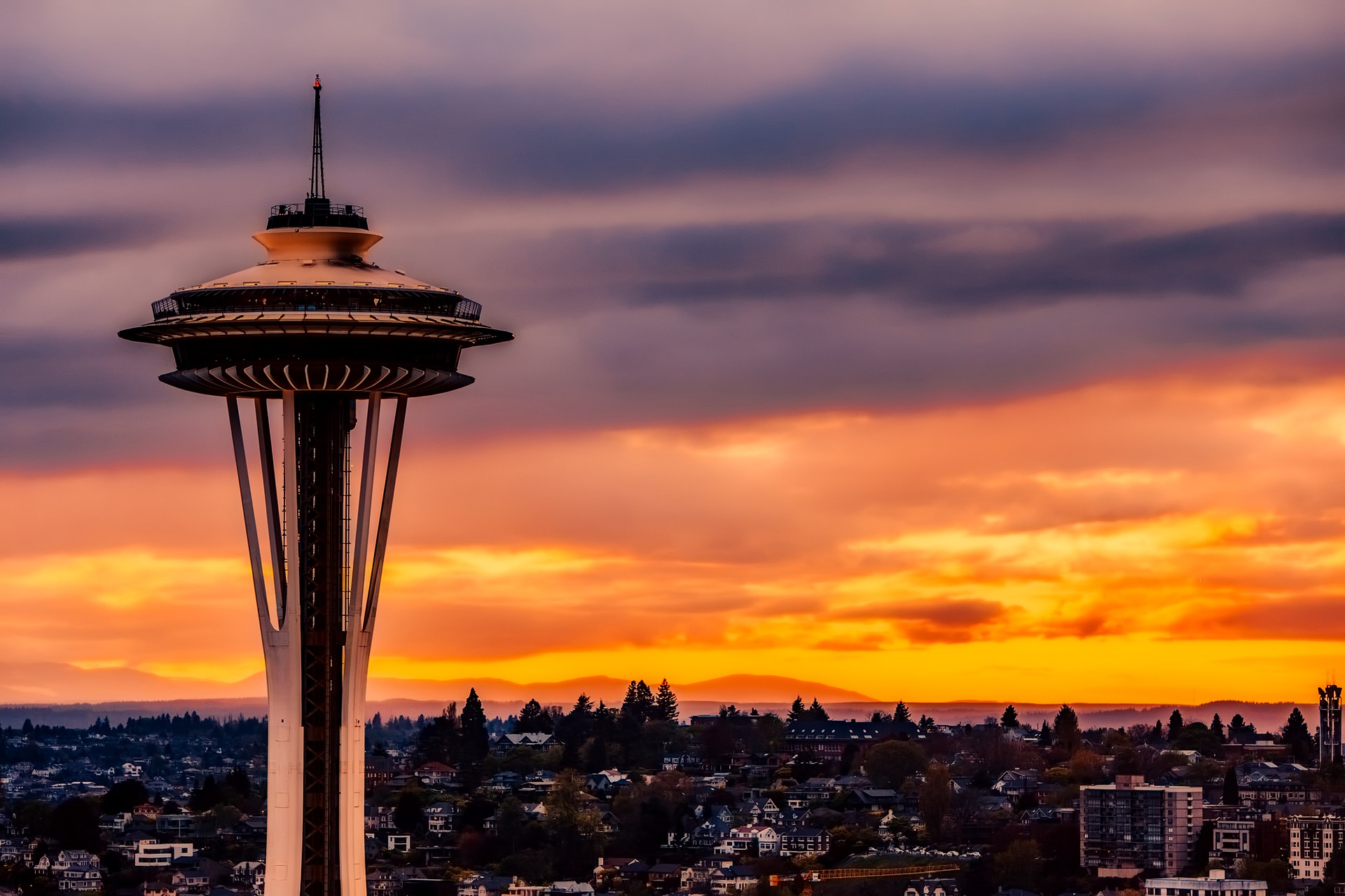 Image of Seattle WA, SAP  Accounts Payable Automation, Kofax, ABBYY, Invoice Processing